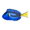 Davy Jones Tackle Fish Pillow Blue Tang GIFTS