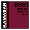 Davy Jones Tackle Kamasan B981 Barbless 10